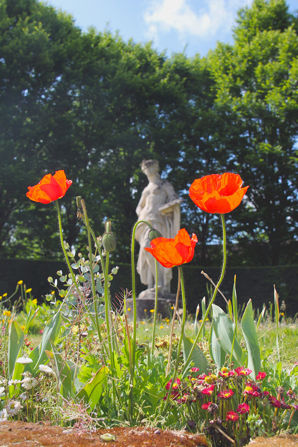 Jardin Public de Saintes