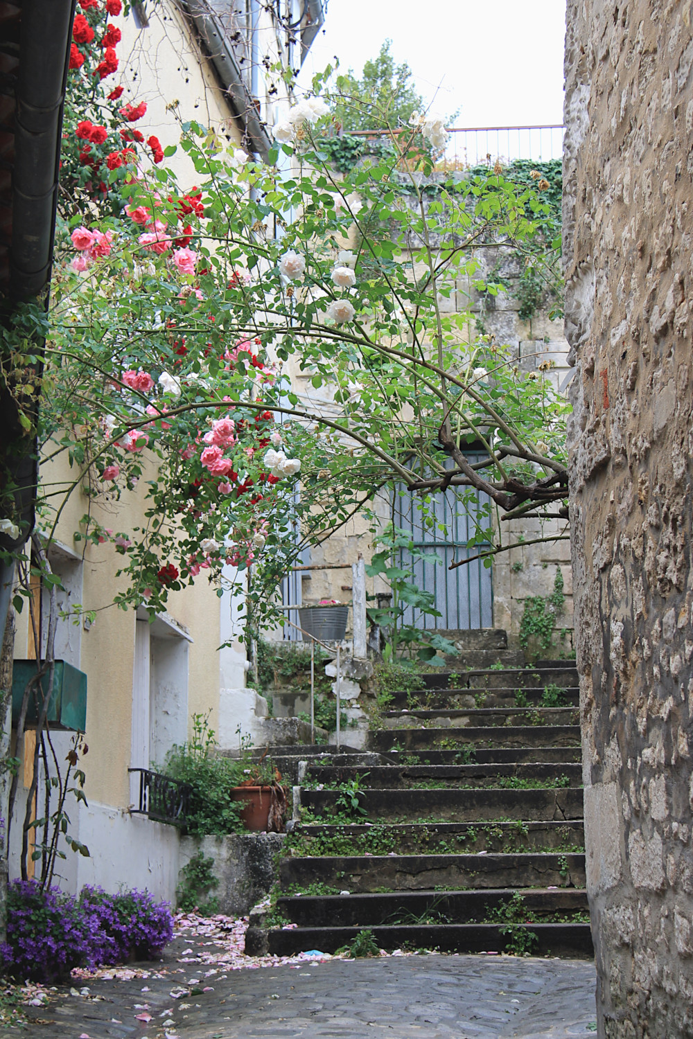 Rue fleurie à Saintes