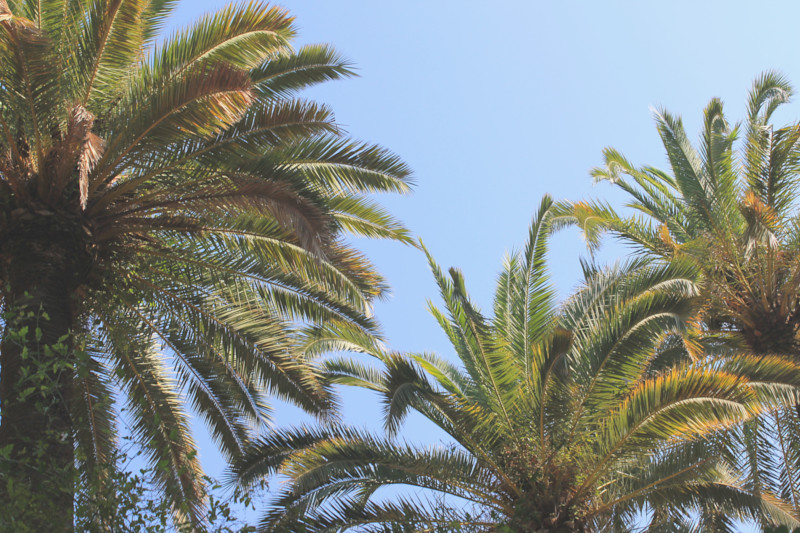 Parc Guëll - Barcelone