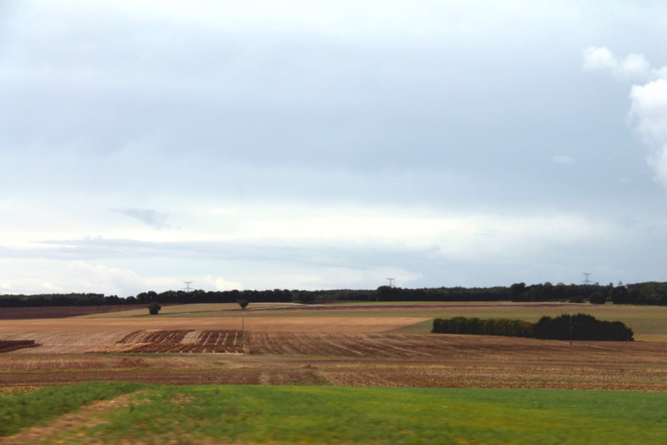 Champ au Vals de Saintonge