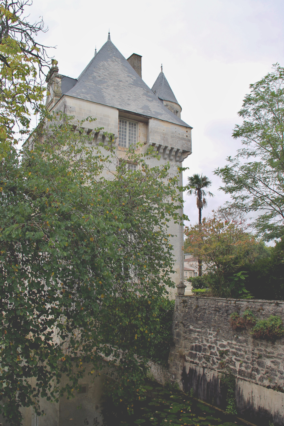 Château de Mornay à Saint-Pierre-de-l'Isle