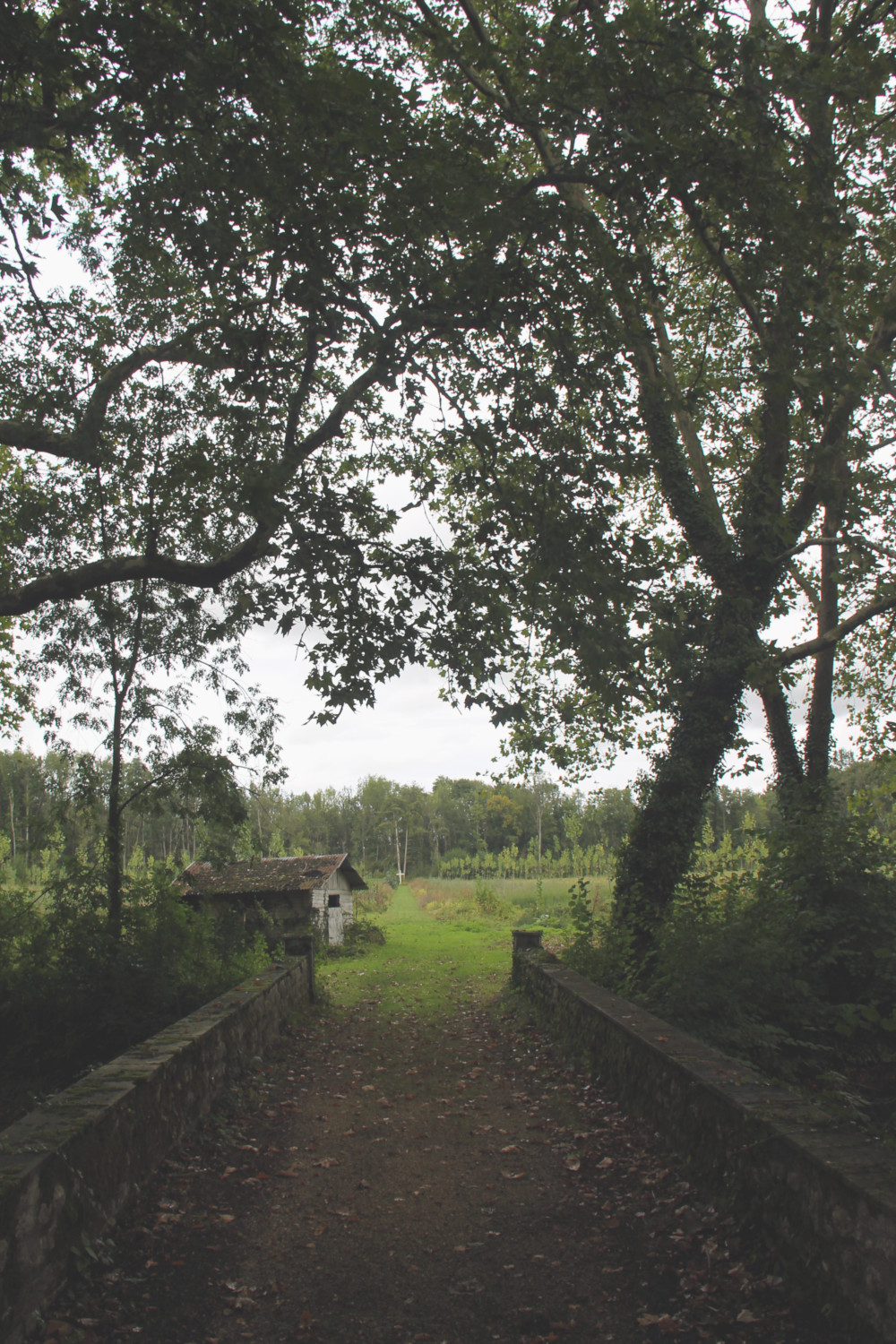 Château de Mornay à Saint-Pierre-de-l'Isle