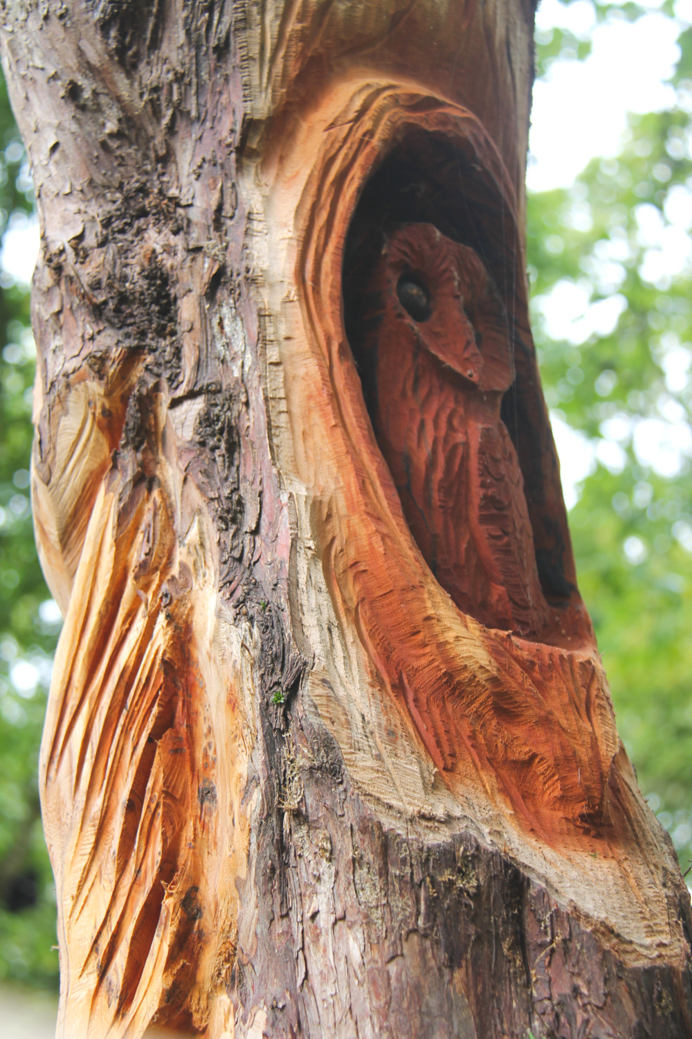Château de Mornay à Saint-Pierre-de-l'Isle