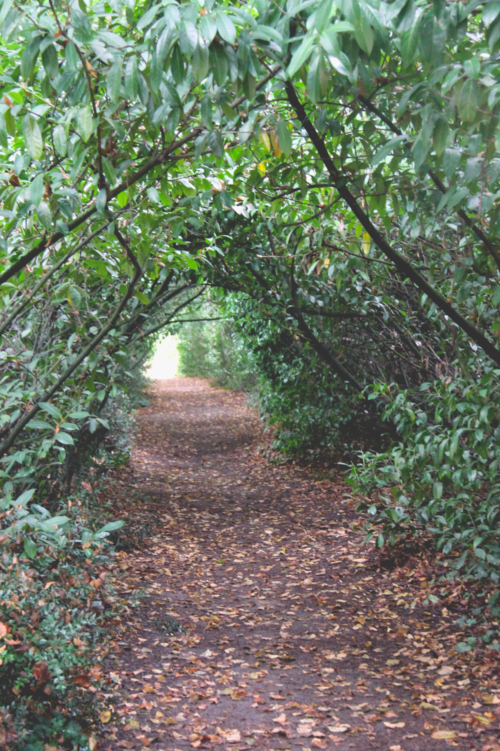 Château des Enigmes à Pons