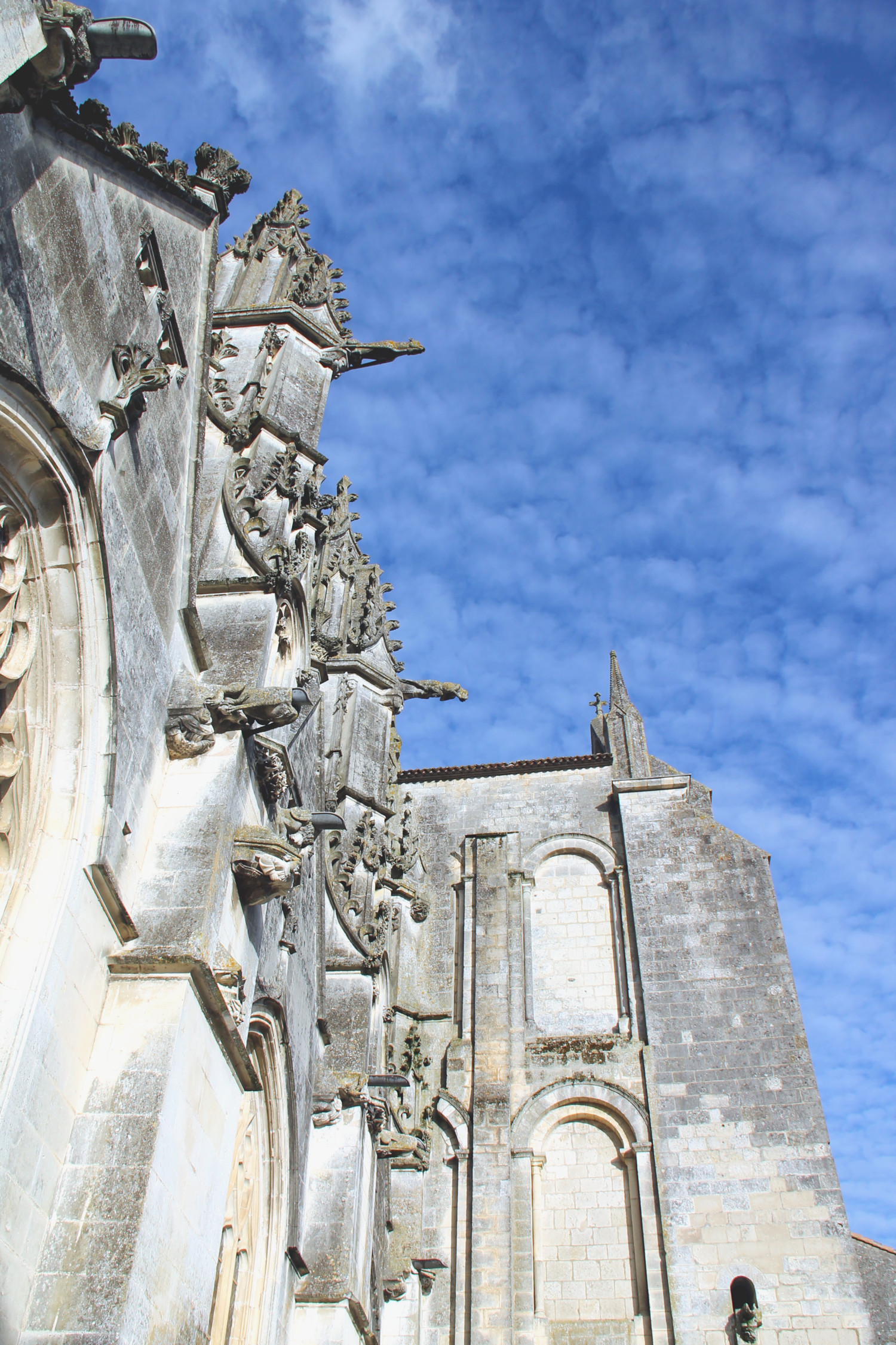 Cathédrale Saint-Pierre de Saintes