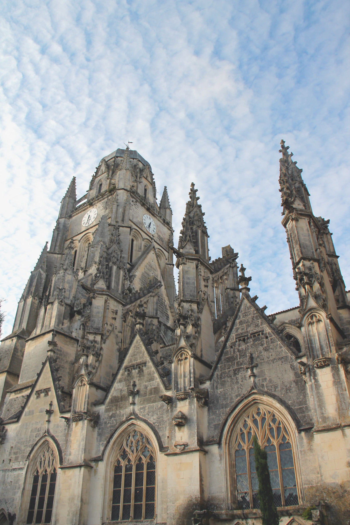 Cathédrale Saint-Pierre de Saintes