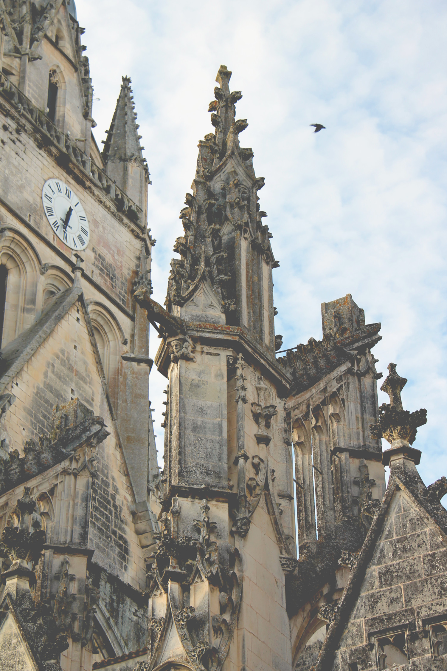 Cathédrale Saint-Pierre de Saintes