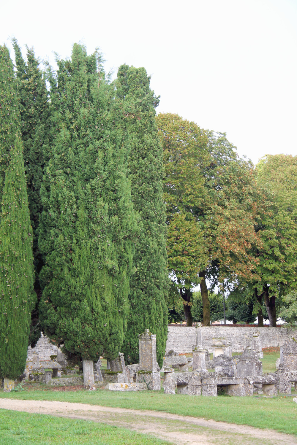 Cimetière de l'Eglise Saint-Pierre d'Aulnay-de-Saintonge