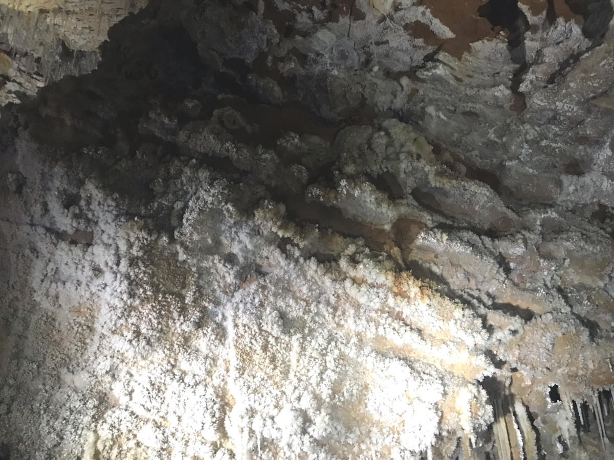 Grotte de Clamouse à Saint-Guilhem-le-Désert