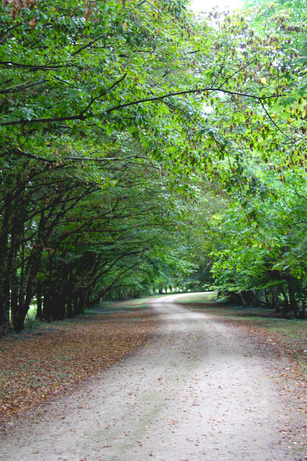 Prieuré Notre Dame d'Oulmes - Nuaillé-sur-Boutonne