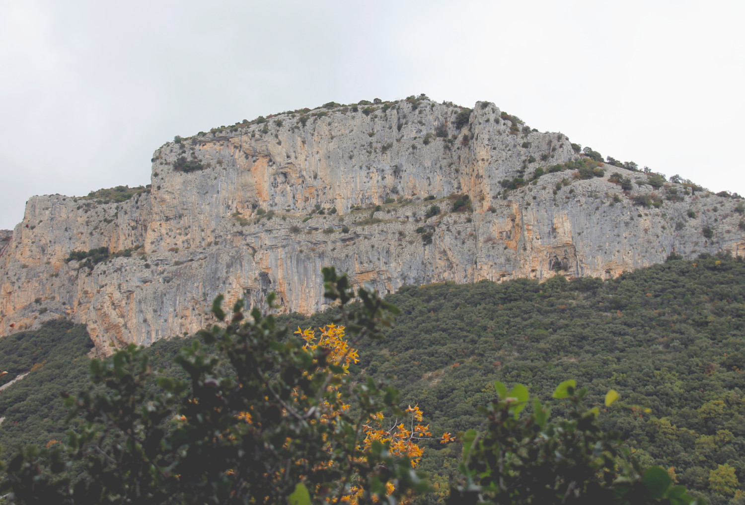 Falaise de la Bissonne -Randonnée des Fenestrettes à Saint-Guilhem-le-Désert