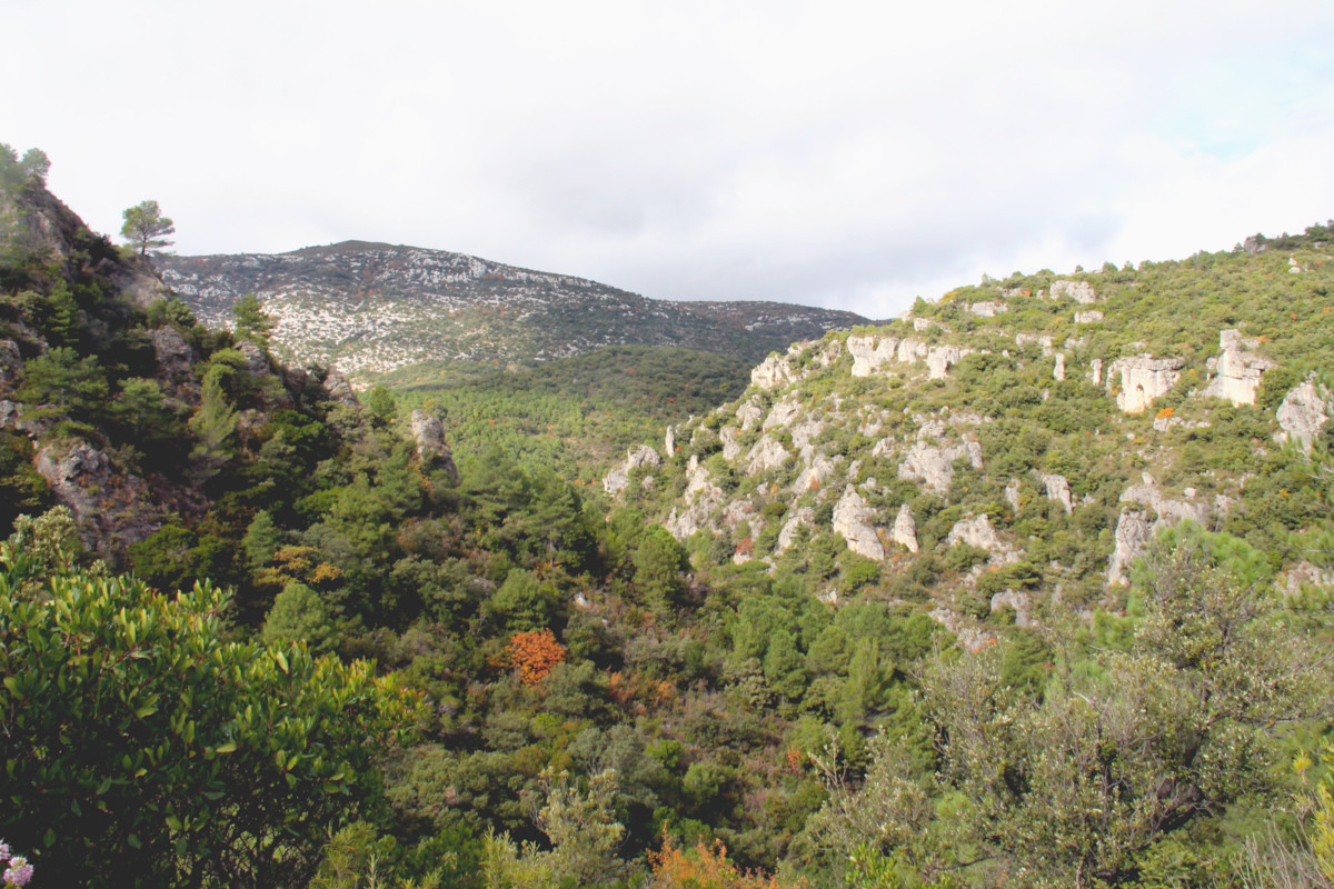 Randonnée des Fenestrettes à Saint-Guilhem-le-Désert