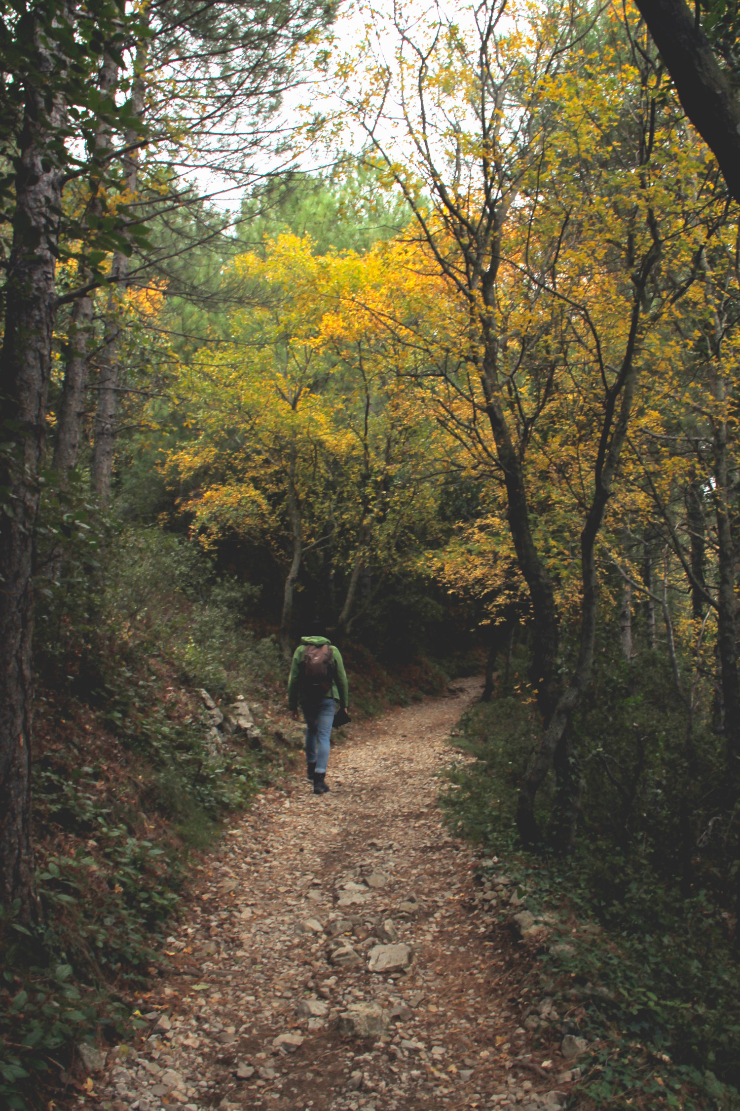 Randonnée des Fenestrettes à Saint-Guilhem-le-Désert