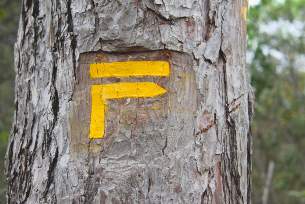 Balisage de randonnée