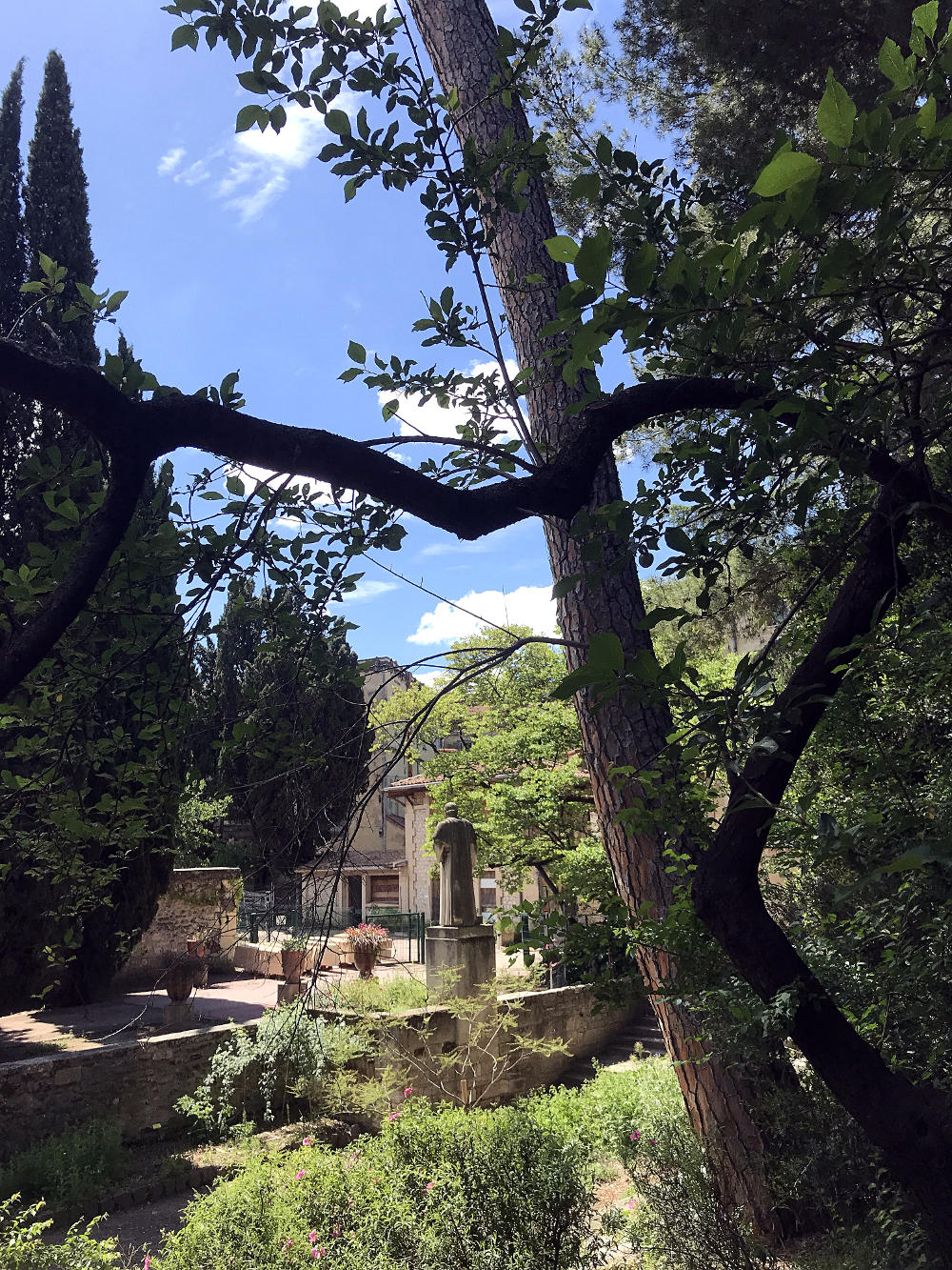 Jardin des Plantes de Montpellier