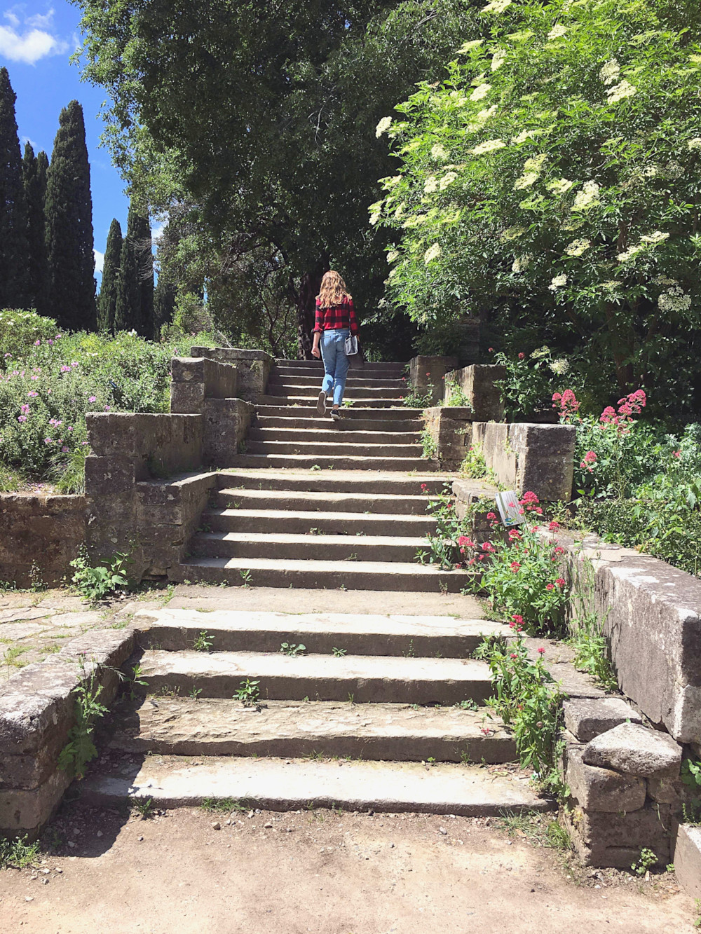 Jardin des Plantes de Montpellier