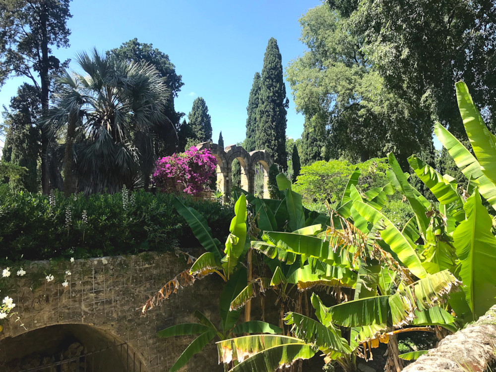 Jardin des Plantes de Montpellier