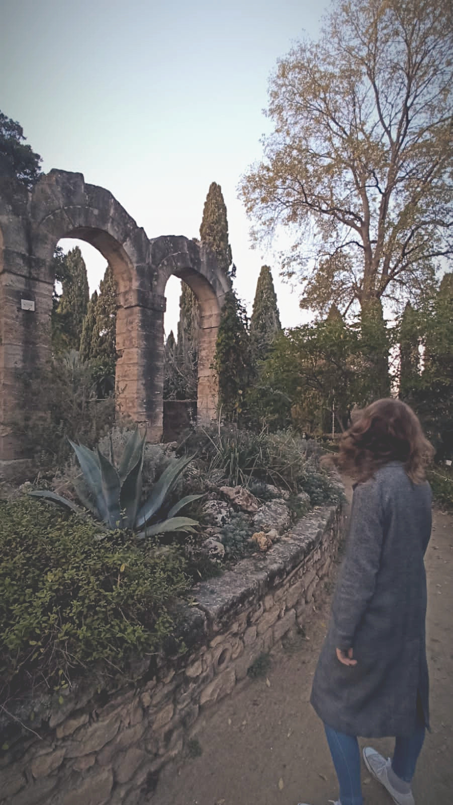 Jardin des Plantes de Montpellier