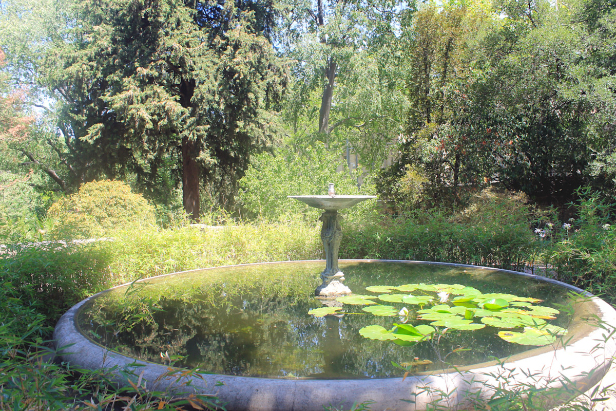 Jardin des Plantes de Montpellier
