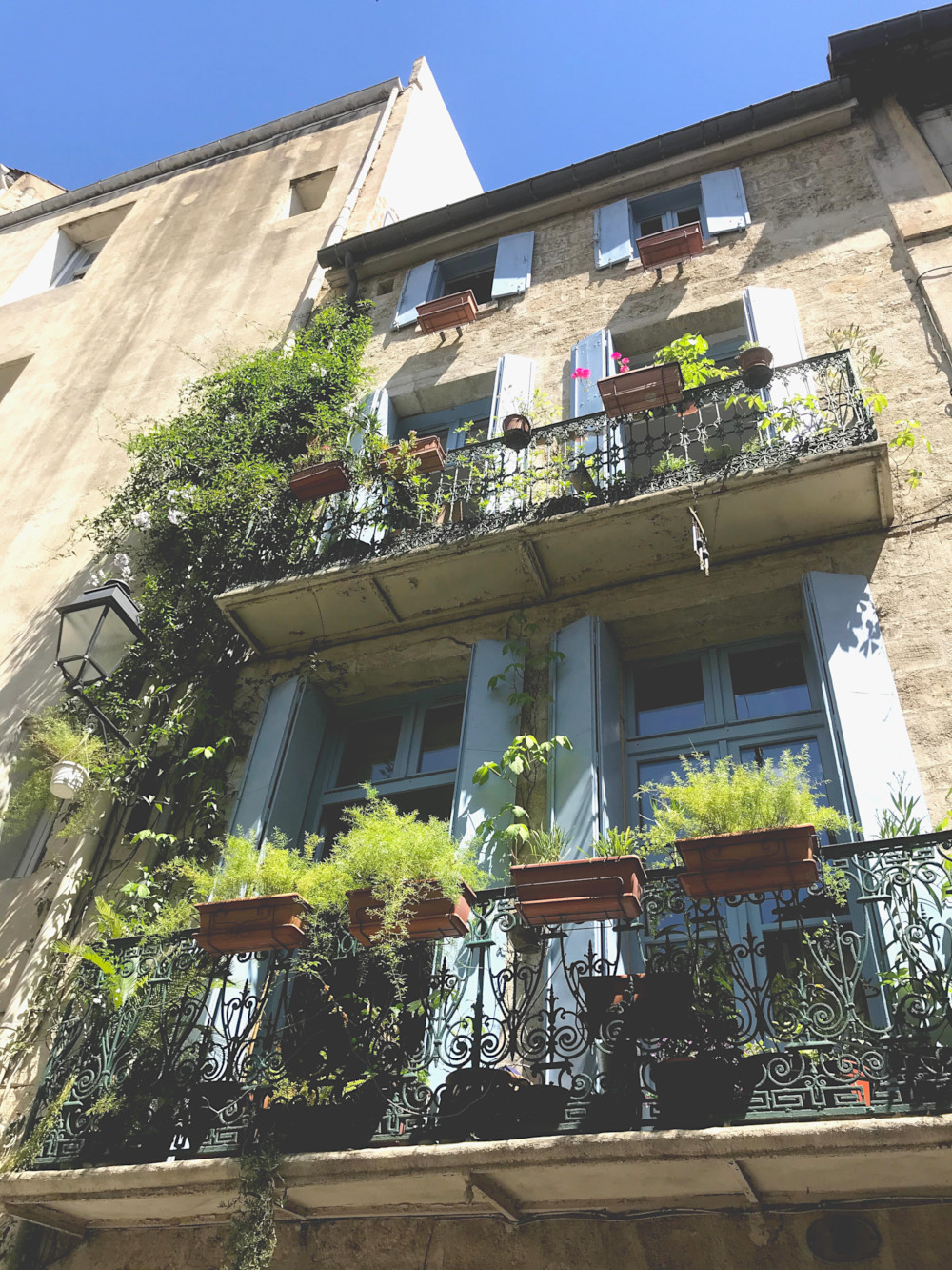 Ecusson - Montpellier