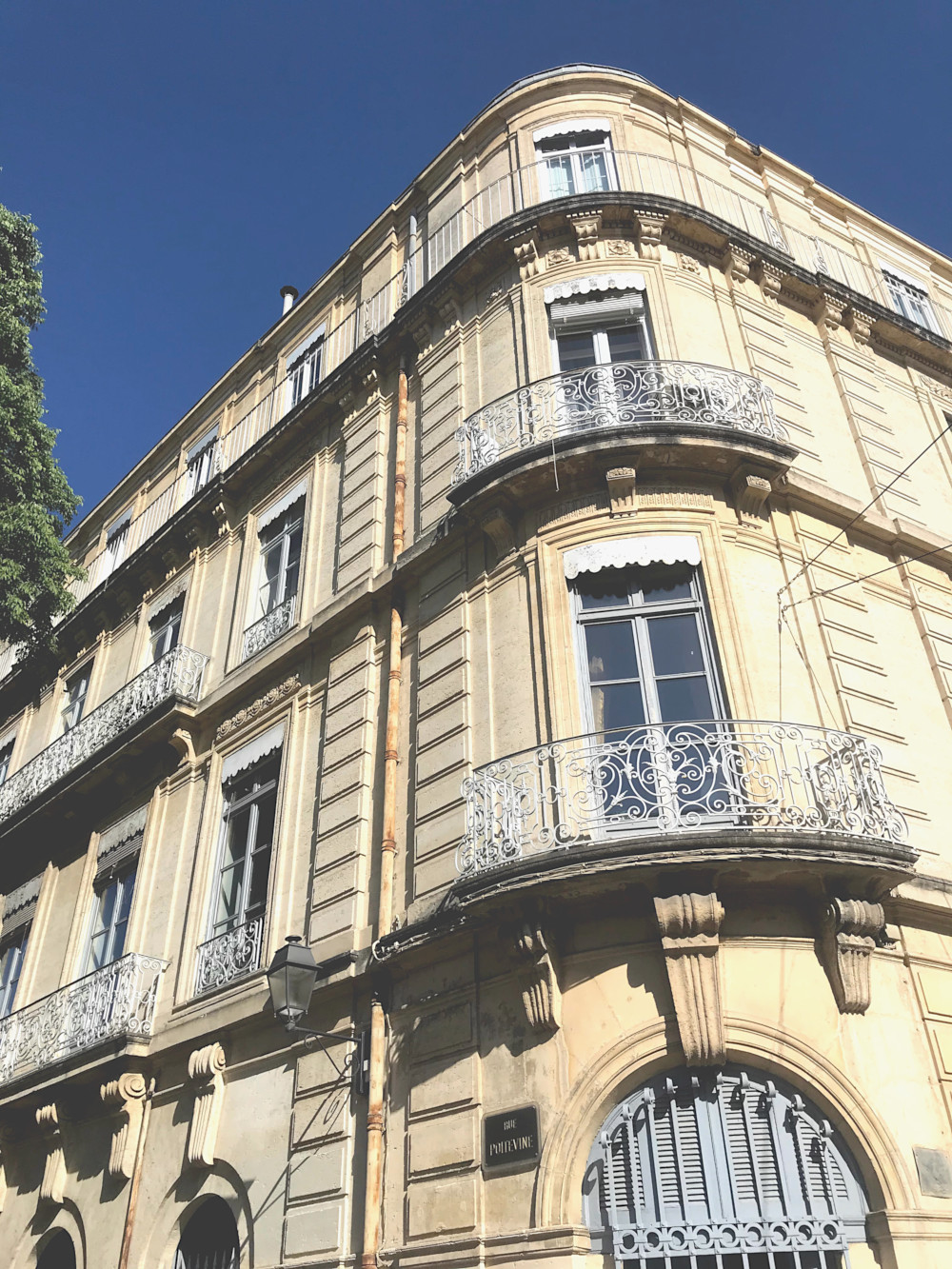 Ecusson - Montpellier