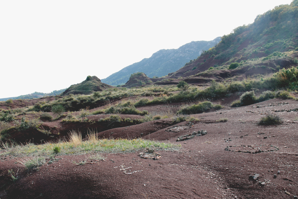 Ruffes au Lac du Salagou
