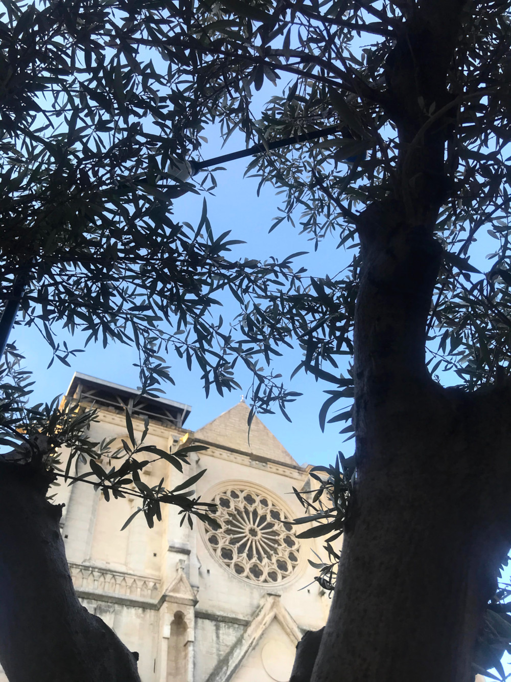 Rocco et sa mère - Montpellier