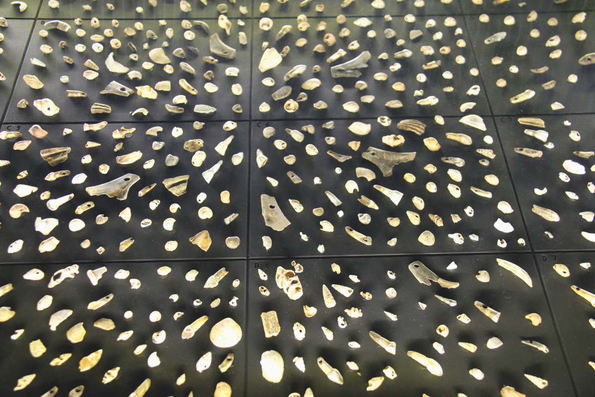 Musée Sainte-Croix de Poitiers