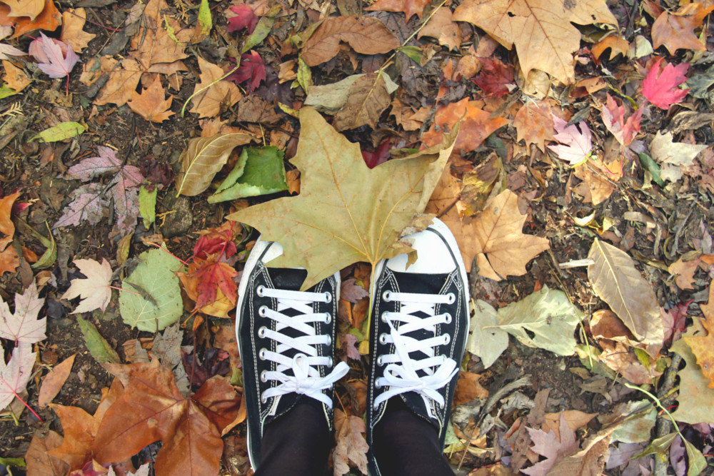 Feuilles d'automne