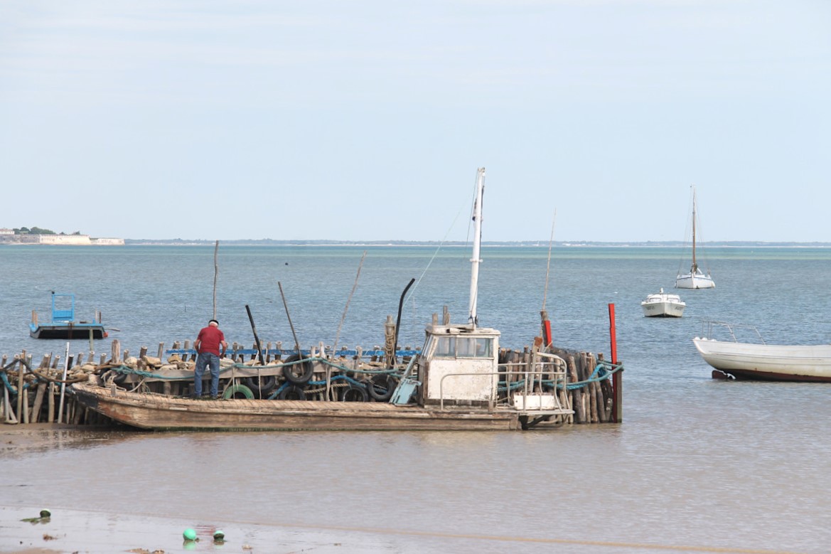 Plage du Chapus à Bourcefranc-le-Chapus