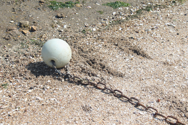 Plage du Chapus à Bourcefranc-le-Chapus