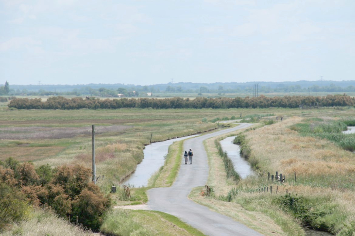 Marais de Brouage