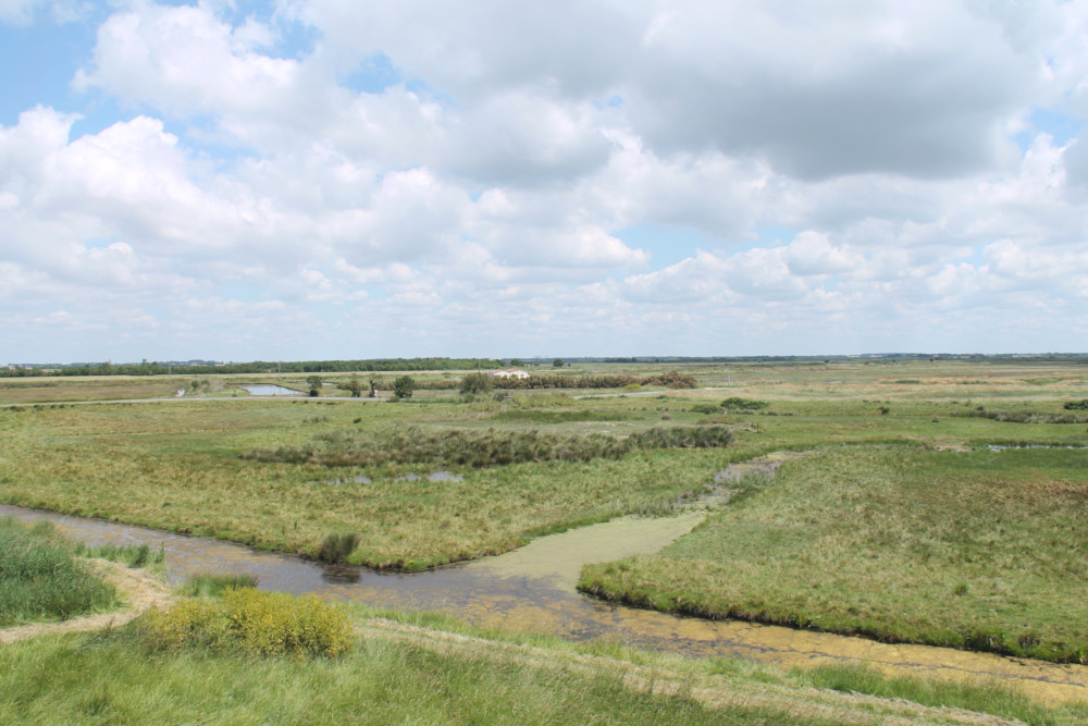 Marais de Brouage