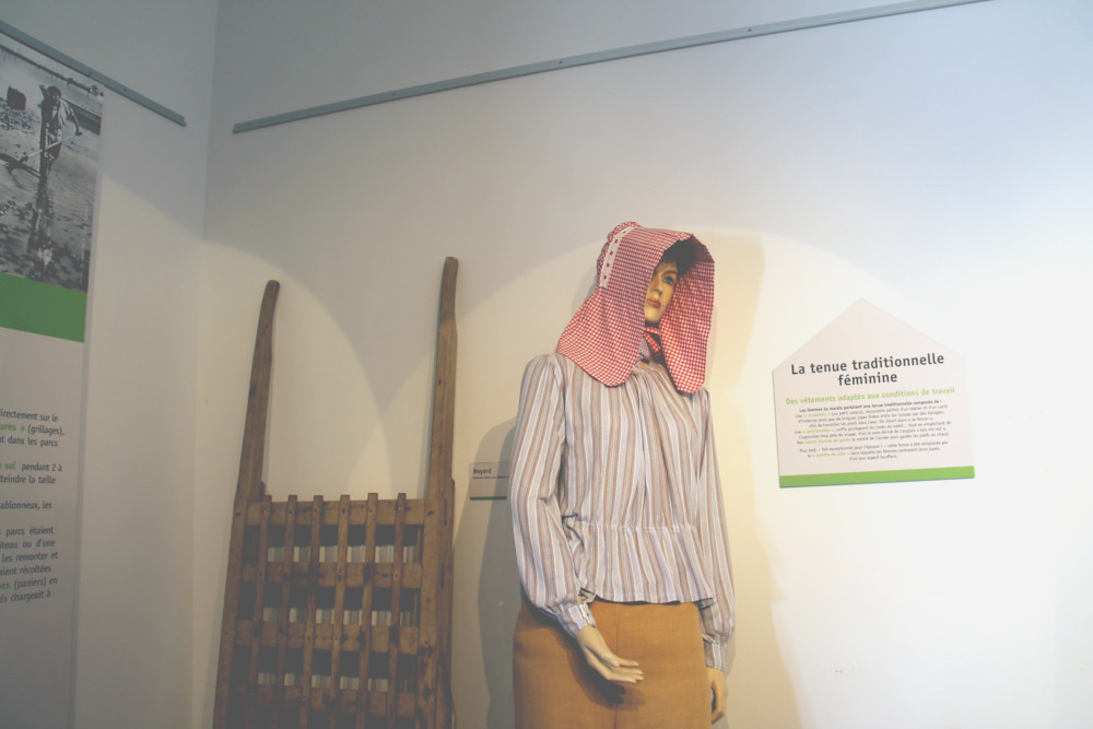 La Cité de l'Huître de Marennes