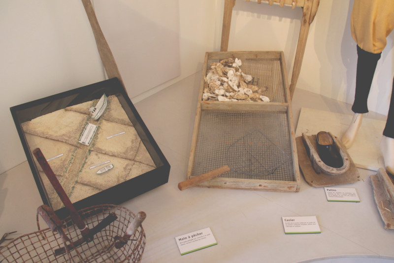 La Cité de l'Huître de Marennes