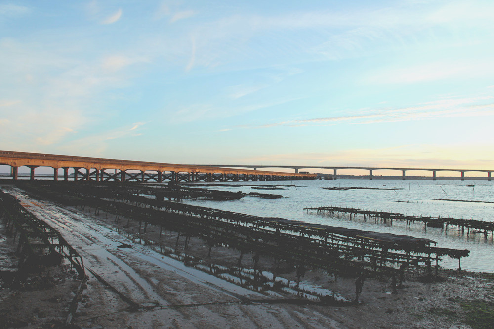 Le Pont d'Oléron depuis le Port du Chapus