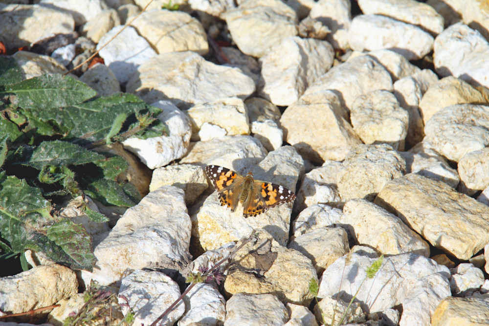 Le chenal de Mérignac à Bourcefranc-le-Chapus