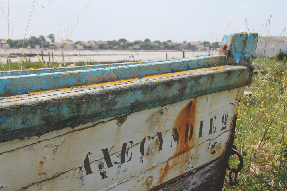 Le site de Daire à Bourcefranc-le-Chapus