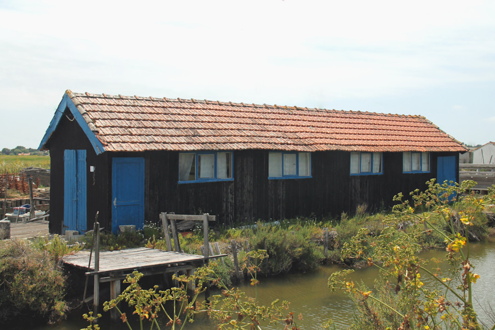 Le site de Daire à Bourcefranc-le-Chapus