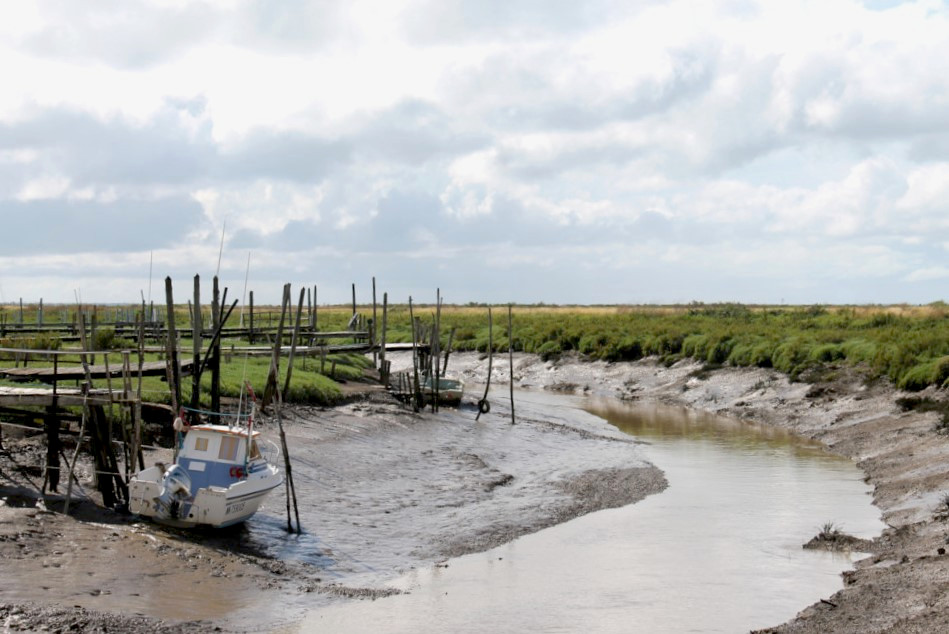 Marais de Moëze