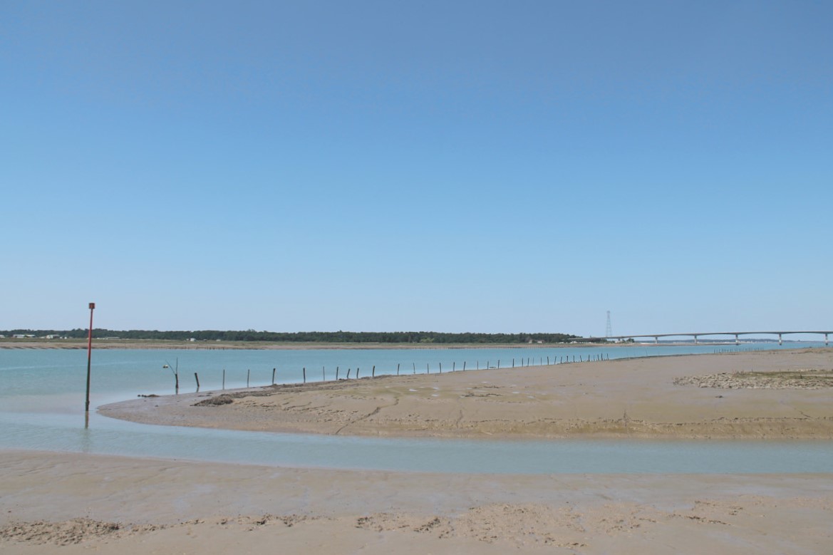 Port de Cayenne à Marennes