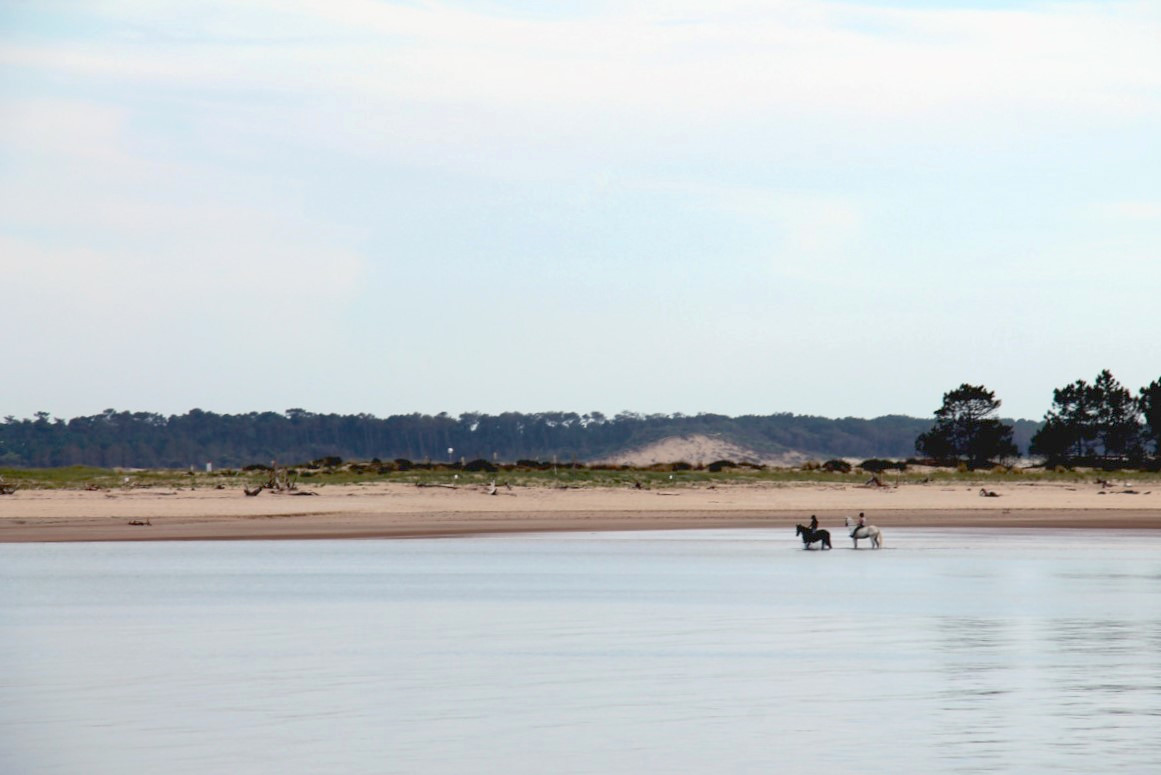 Plage de Gatseau- Ile d'Oléron