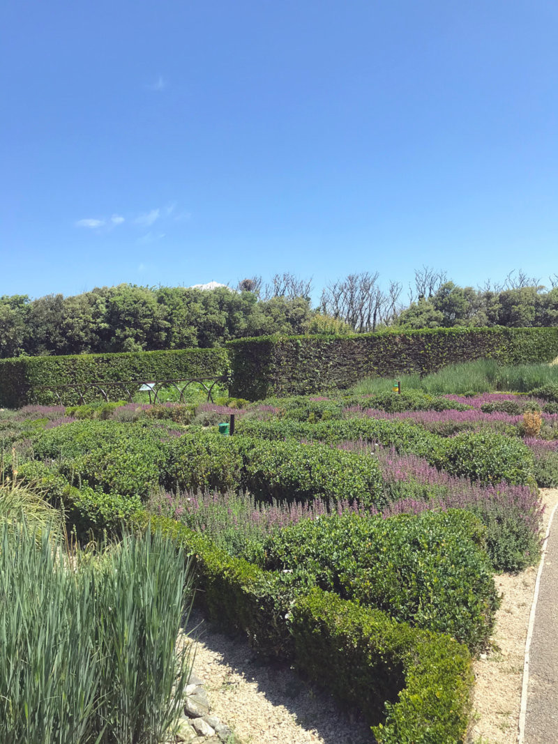 Jardins du Phare de Chassiron - Ile d'Oléron
