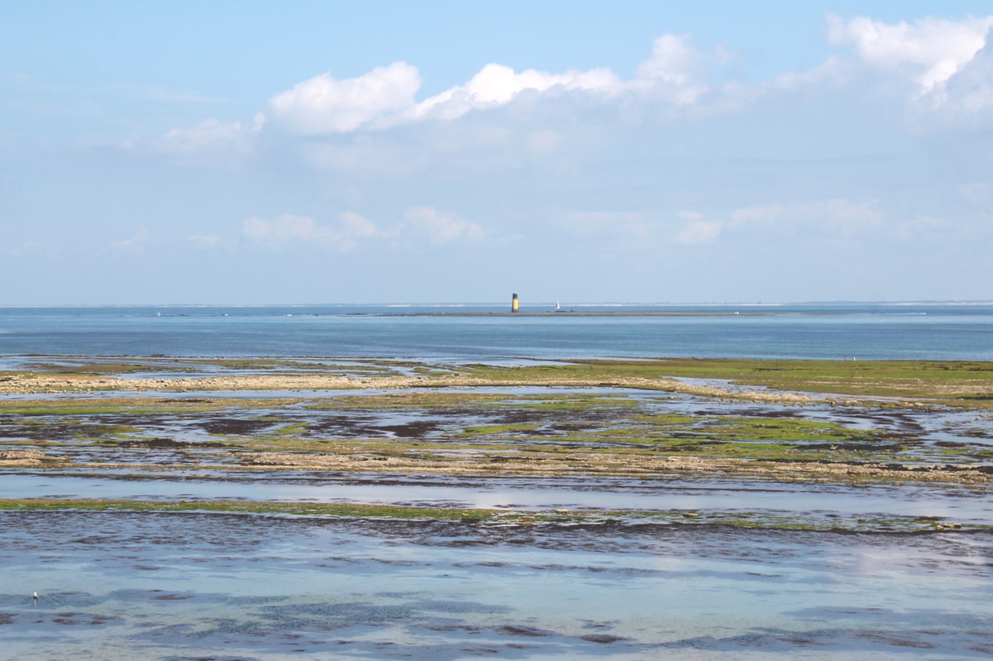 Saint-Denis-d'Oléron - Ile d'Oléron