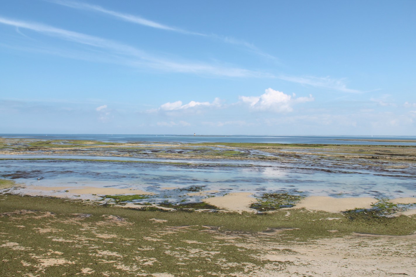 Saint-Denis-d'Oléron - Ile d'Oléron