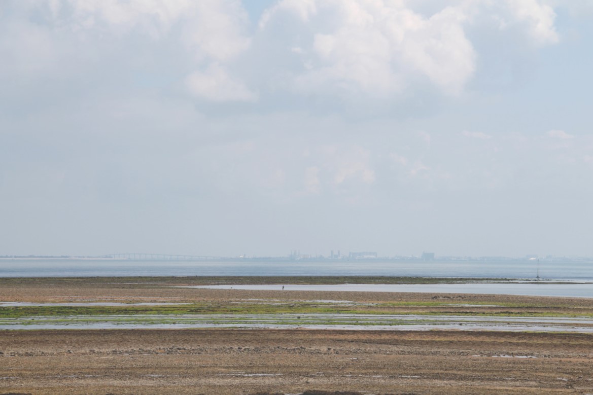 Saint-Denis-d'Oléron - Ile d'Oléron