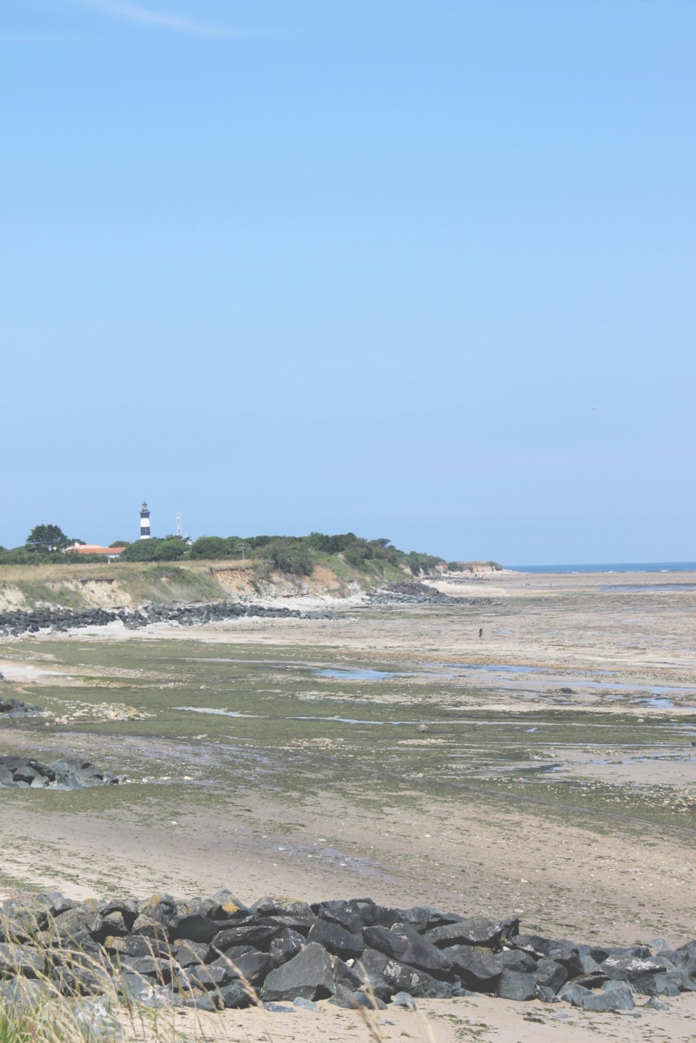 Saint-Denis-d'Oléron - Ile d'Oléron