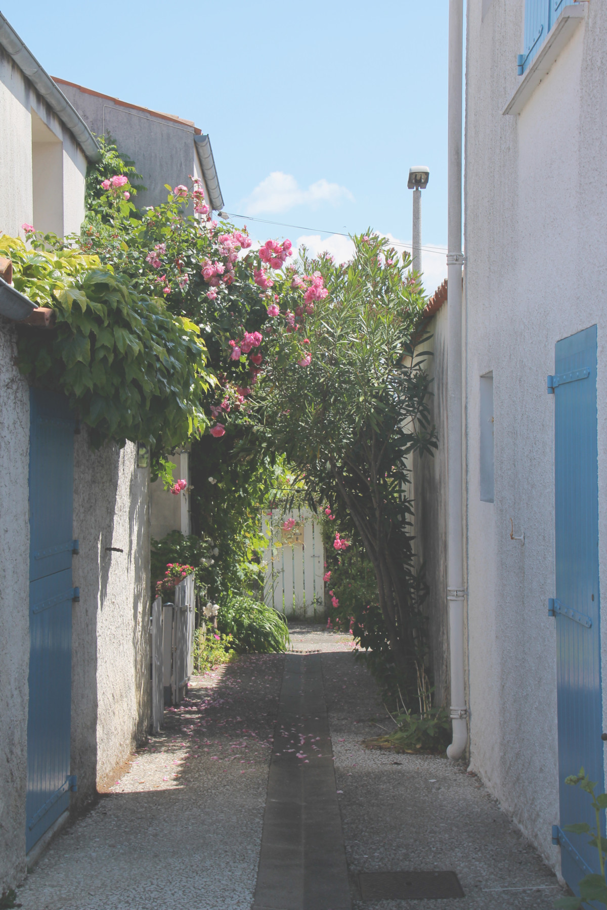 Saint-Trojan-les-Bains - Ile d'Oléron