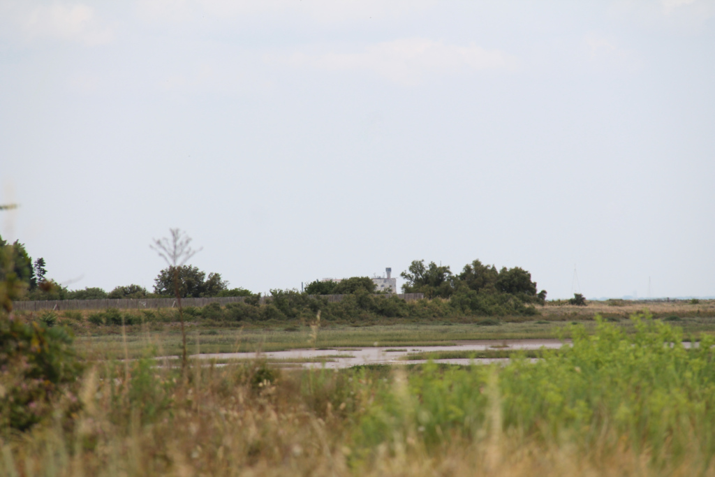 Fort Royer - Ile d'Oléron