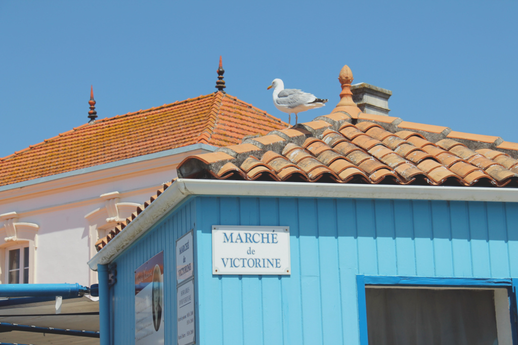 La Cotinière - Ile d'Oléron